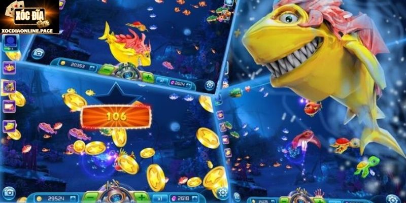 kinh nghiem san ca zui giup cai thien hieu suat Kinh nghiệm săn cá Zui giúp cải thiện hiệu suất